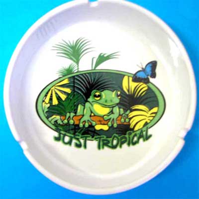 Ashtray Rainforest